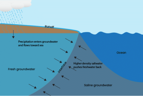 Understanding Saltwater Intrusion - pHionics