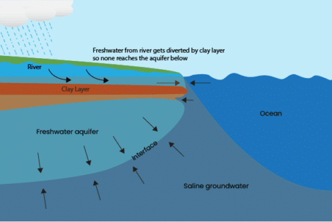 Understanding Saltwater Intrusion - pHionics