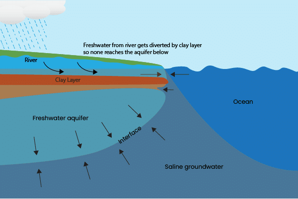 understanding-saltwater-intrusion-phionics