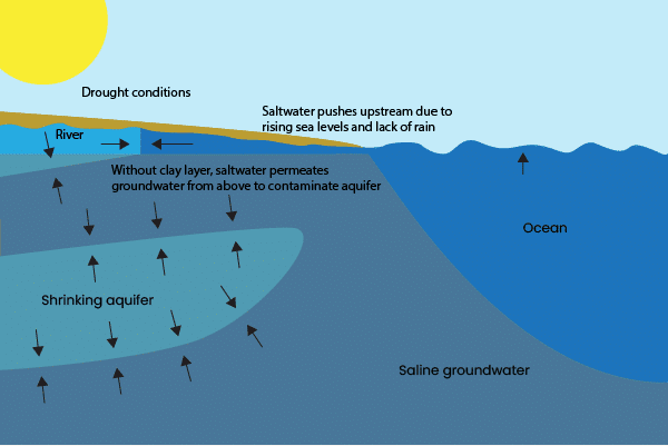 understanding-saltwater-intrusion-phionics