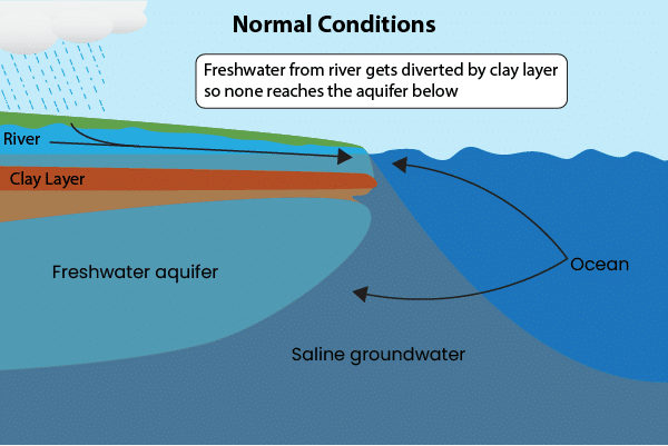 Understanding Saltwater Intrusion - pHionics